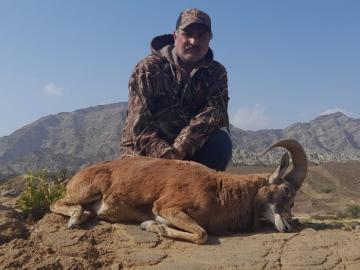 Blanford Urial hunt in Pakistan 2