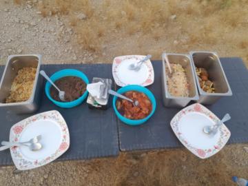 Blanford Urial Hunt food