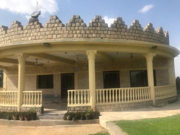 afghan urial lodge outside