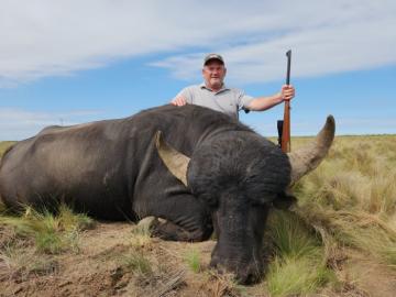Giant water buffalo trophy hunt