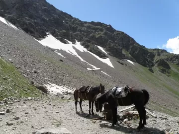 views from Kuban Tur hunt in Russia