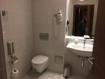 Roe deer hotel bathroom