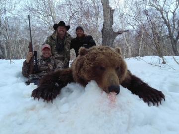 Brown Bear Trophy in the Forest