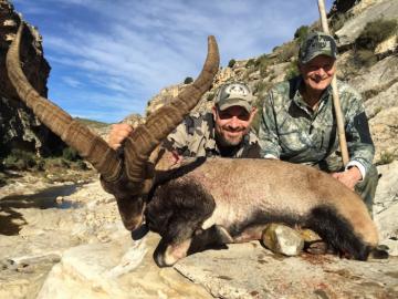 A proud hunter and his beceite ibex trophy