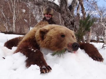 Kamchatka Bear in Winter