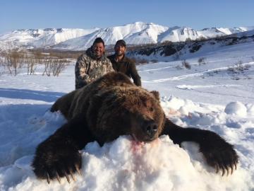 Trophy Kamchatka Brown Bear