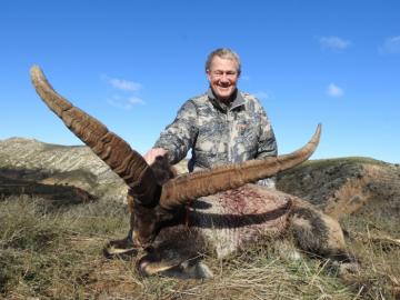 A good beceite ibex