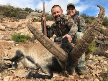 Trophy Spanish SE Ibex