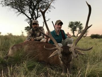 Hunters with free-range red stag trophy