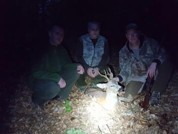 Late day Roebuck trophy