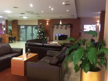 Roe Deer Hotel Lobby