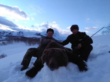 Trophy Brown Bear in Mountains