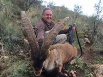 Great SE ibex
