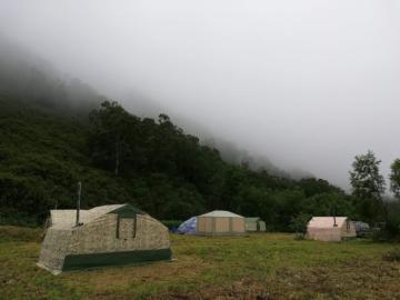 Snow Sheep Russia Camp