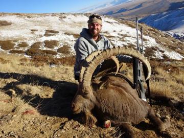 A trophy Ibex up high in the Mountains