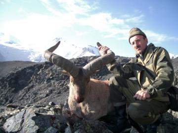Dagestan Tur Hunt in Russian Mountains