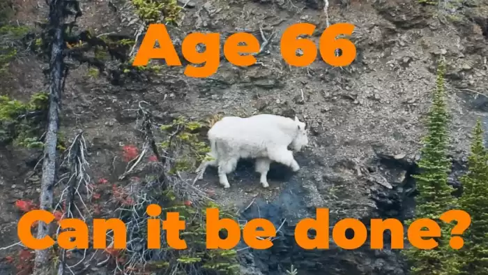 Global Hunting Safaris Video